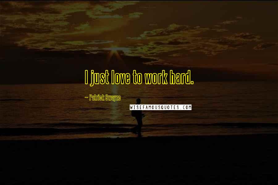 Patrick Swayze Quotes: I just love to work hard.