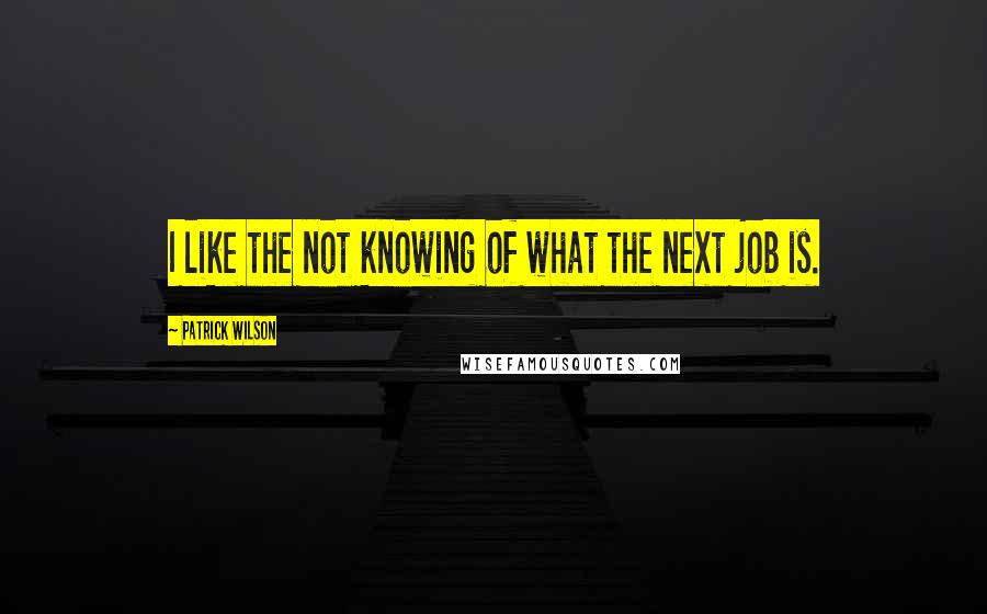 Patrick Wilson Quotes: I like the not knowing of what the next job is.