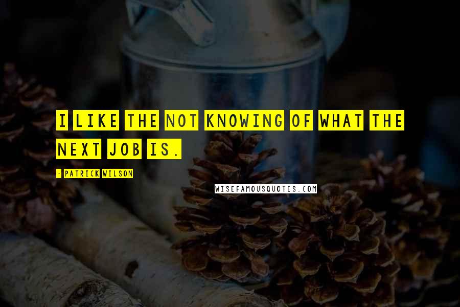 Patrick Wilson Quotes: I like the not knowing of what the next job is.