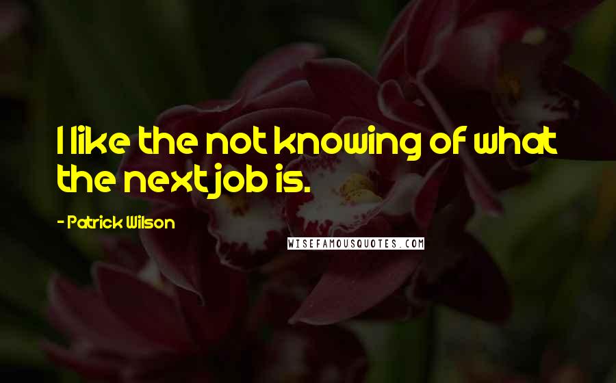 Patrick Wilson Quotes: I like the not knowing of what the next job is.