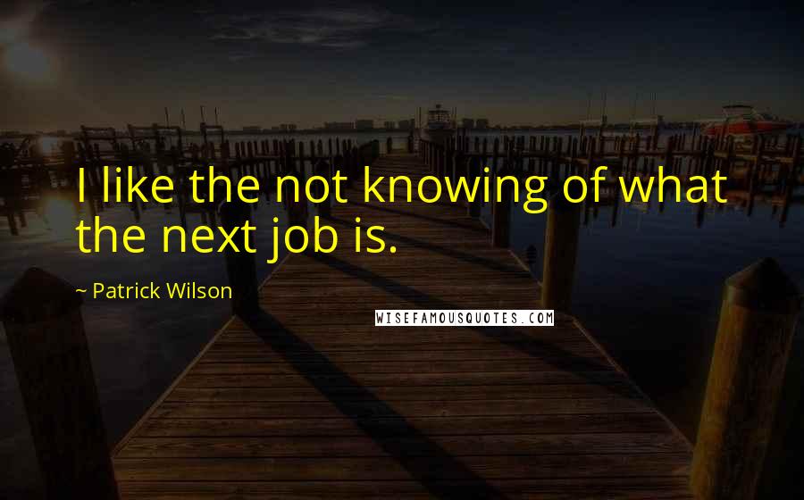 Patrick Wilson Quotes: I like the not knowing of what the next job is.