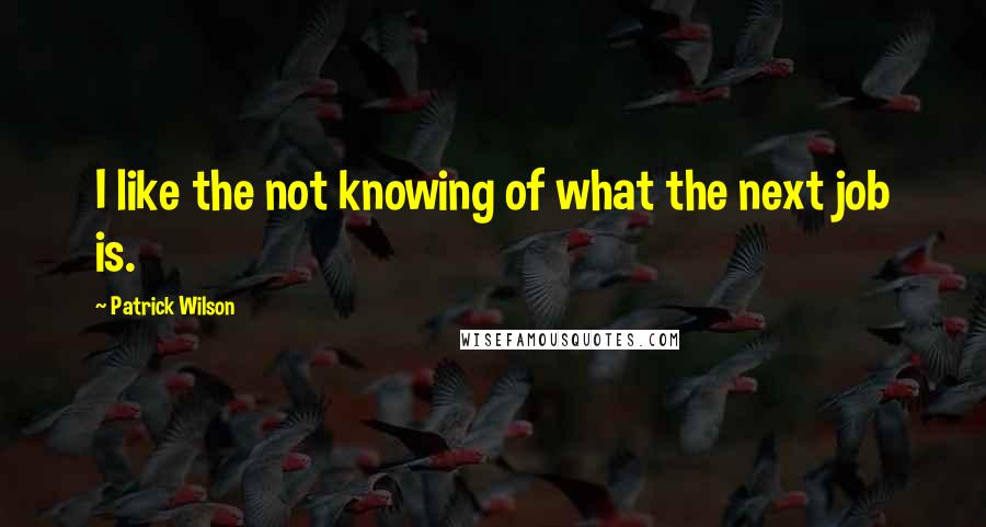 Patrick Wilson Quotes: I like the not knowing of what the next job is.