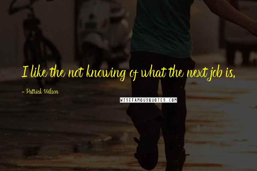 Patrick Wilson Quotes: I like the not knowing of what the next job is.