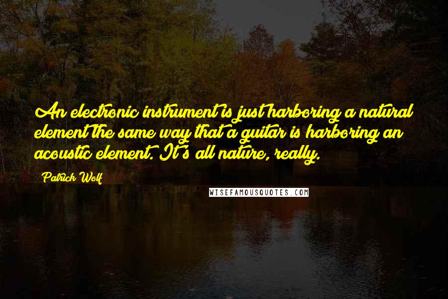 Patrick Wolf Quotes: An electronic instrument is just harboring a natural element the same way that a guitar is harboring an acoustic element. It's all nature, really.