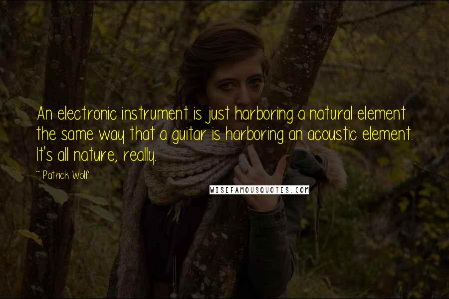 Patrick Wolf Quotes: An electronic instrument is just harboring a natural element the same way that a guitar is harboring an acoustic element. It's all nature, really.