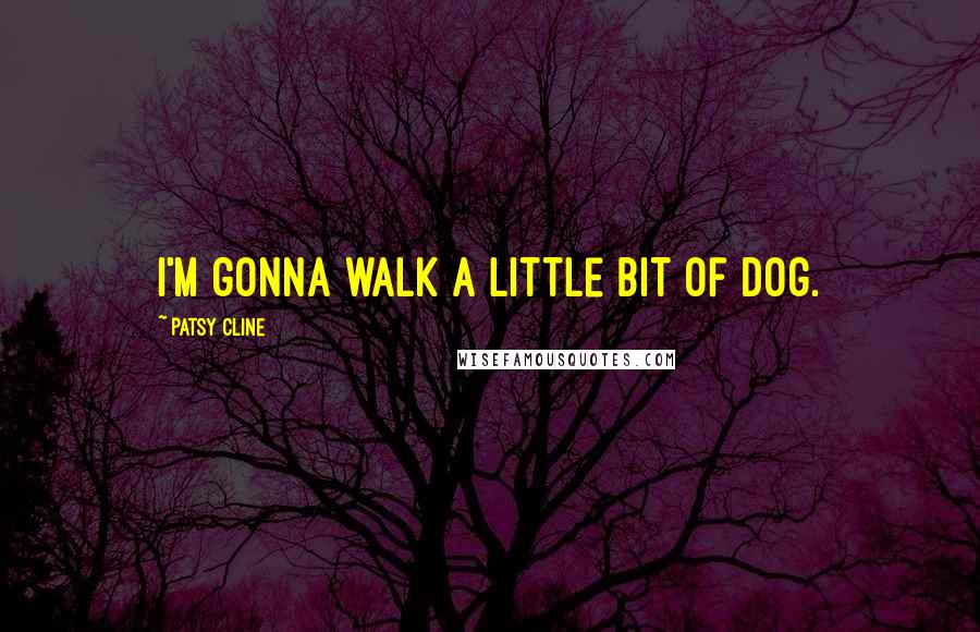 Patsy Cline Quotes: I'm gonna walk a little bit of dog.