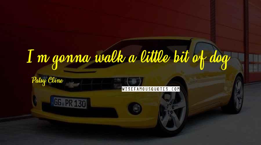 Patsy Cline Quotes: I'm gonna walk a little bit of dog.