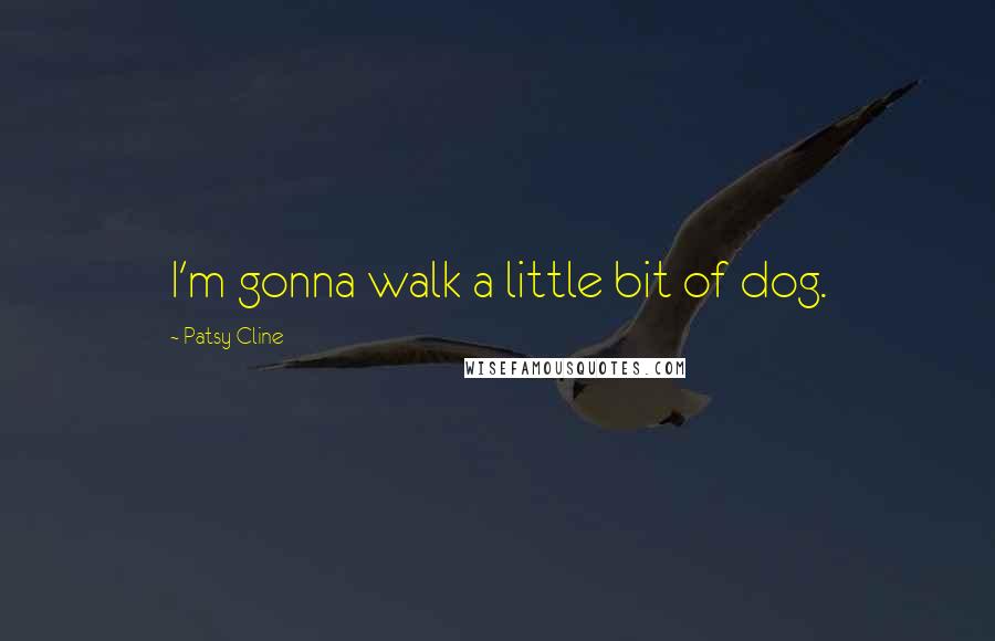 Patsy Cline Quotes: I'm gonna walk a little bit of dog.