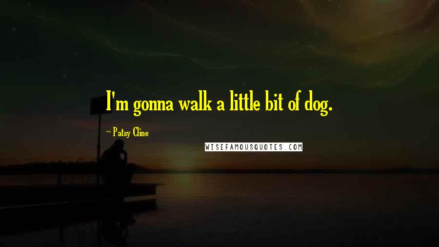 Patsy Cline Quotes: I'm gonna walk a little bit of dog.
