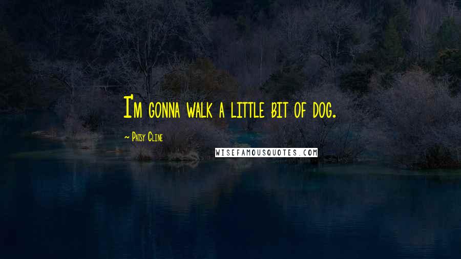 Patsy Cline Quotes: I'm gonna walk a little bit of dog.