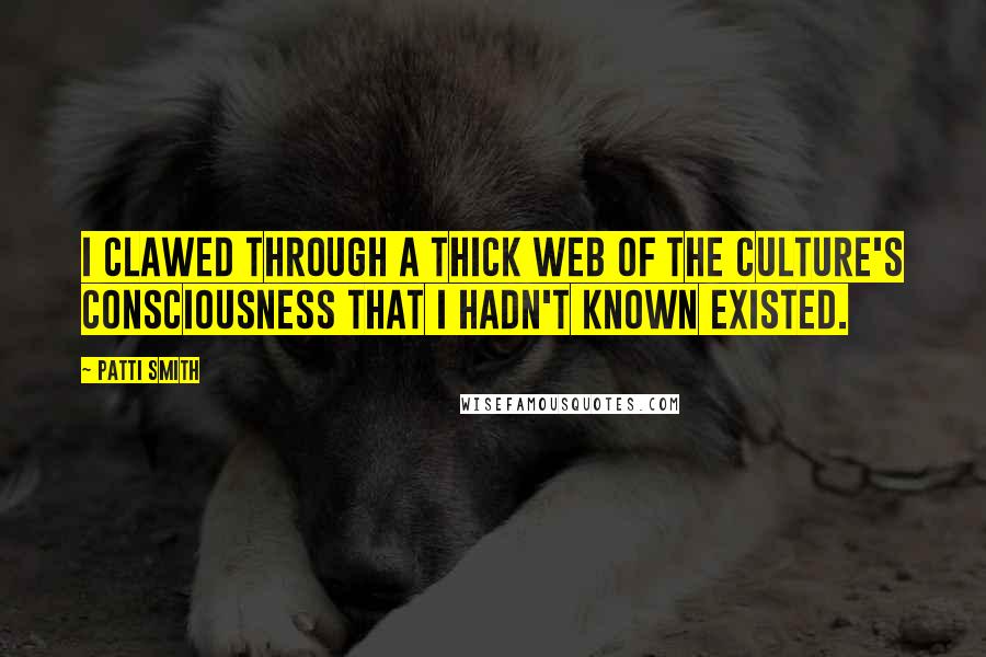 Patti Smith Quotes: I clawed through a thick web of the culture's consciousness that I hadn't known existed.