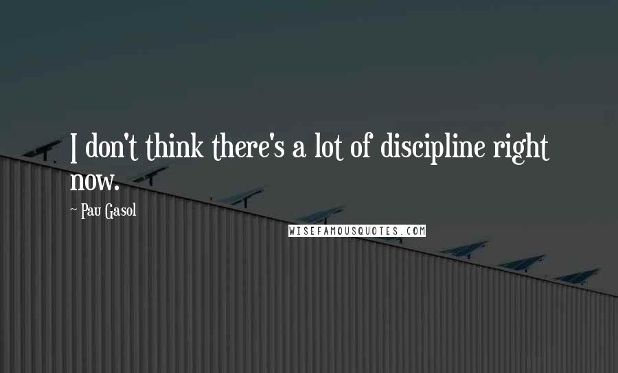 Pau Gasol Quotes: I don't think there's a lot of discipline right now.