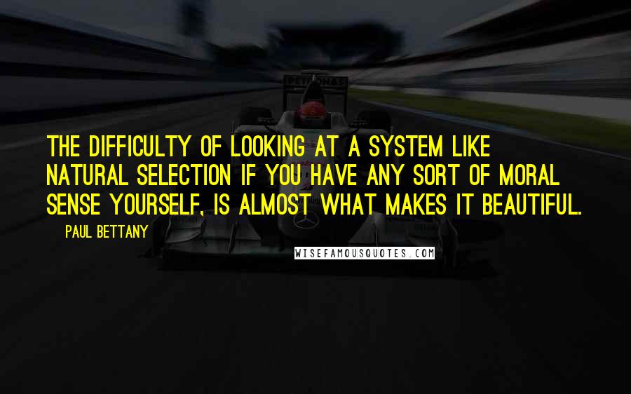 Paul Bettany Quotes: The difficulty of looking at a system like natural selection if you have any sort of moral sense yourself, is almost what makes it beautiful.