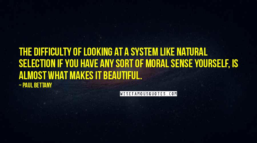 Paul Bettany Quotes: The difficulty of looking at a system like natural selection if you have any sort of moral sense yourself, is almost what makes it beautiful.