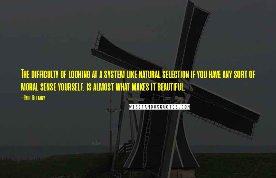 Paul Bettany Quotes: The difficulty of looking at a system like natural selection if you have any sort of moral sense yourself, is almost what makes it beautiful.