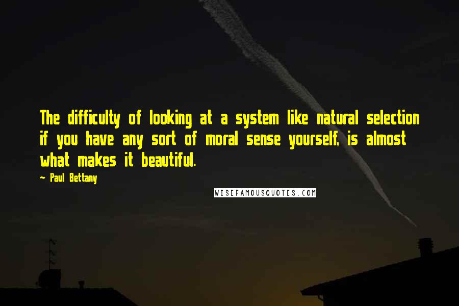 Paul Bettany Quotes: The difficulty of looking at a system like natural selection if you have any sort of moral sense yourself, is almost what makes it beautiful.