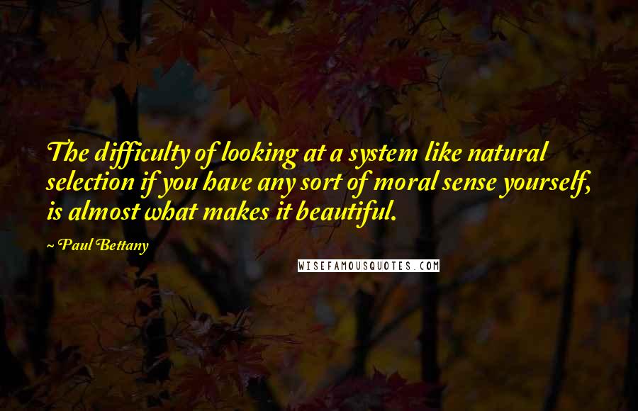 Paul Bettany Quotes: The difficulty of looking at a system like natural selection if you have any sort of moral sense yourself, is almost what makes it beautiful.
