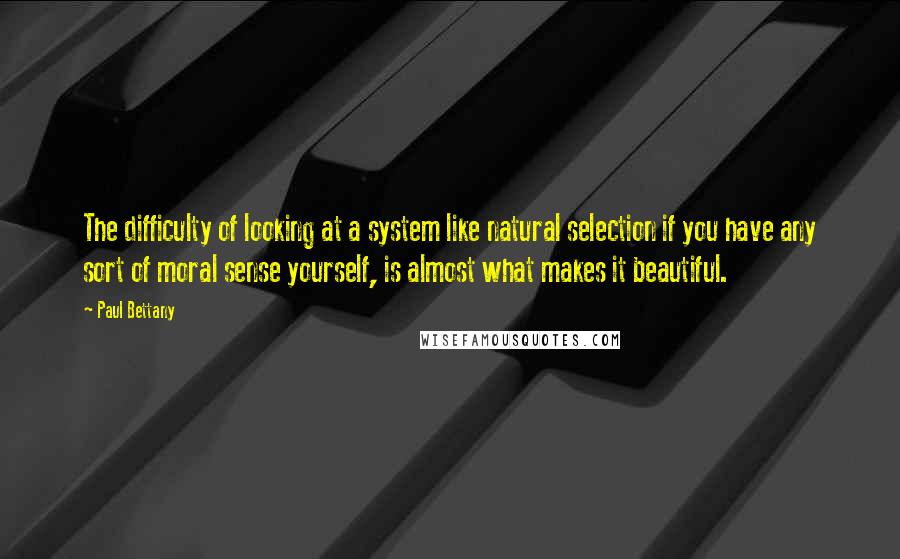 Paul Bettany Quotes: The difficulty of looking at a system like natural selection if you have any sort of moral sense yourself, is almost what makes it beautiful.