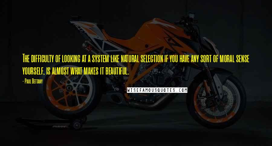 Paul Bettany Quotes: The difficulty of looking at a system like natural selection if you have any sort of moral sense yourself, is almost what makes it beautiful.