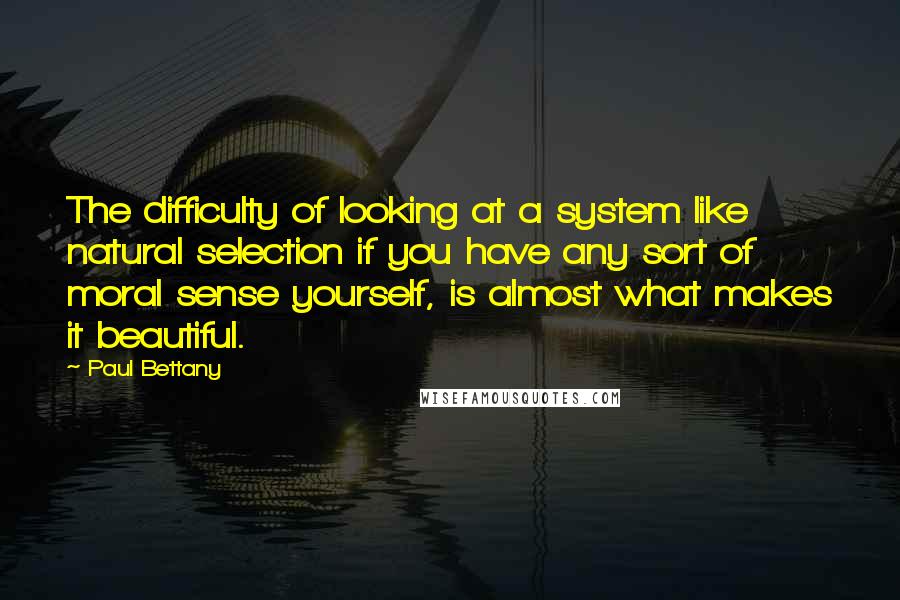 Paul Bettany Quotes: The difficulty of looking at a system like natural selection if you have any sort of moral sense yourself, is almost what makes it beautiful.