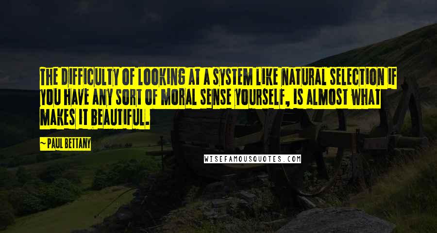 Paul Bettany Quotes: The difficulty of looking at a system like natural selection if you have any sort of moral sense yourself, is almost what makes it beautiful.