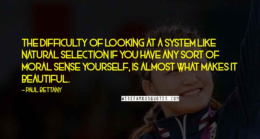 Paul Bettany Quotes: The difficulty of looking at a system like natural selection if you have any sort of moral sense yourself, is almost what makes it beautiful.