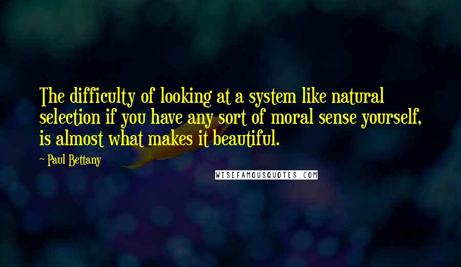 Paul Bettany Quotes: The difficulty of looking at a system like natural selection if you have any sort of moral sense yourself, is almost what makes it beautiful.