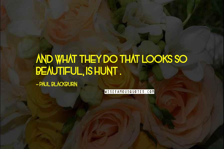 Paul Blackburn Quotes: and what they do that looks so beautiful, is hunt .