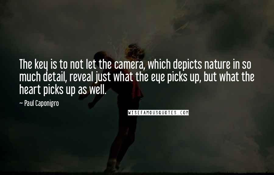 Paul Caponigro Quotes: The key is to not let the camera, which depicts nature in so much detail, reveal just what the eye picks up, but what the heart picks up as well.