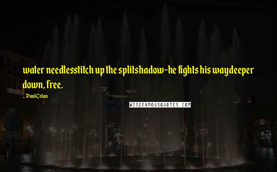 Paul Celan Quotes: water needlesstitch up the splitshadow-he fights his waydeeper down, free.