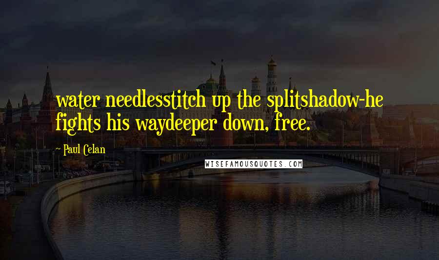 Paul Celan Quotes: water needlesstitch up the splitshadow-he fights his waydeeper down, free.