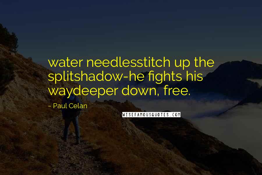 Paul Celan Quotes: water needlesstitch up the splitshadow-he fights his waydeeper down, free.