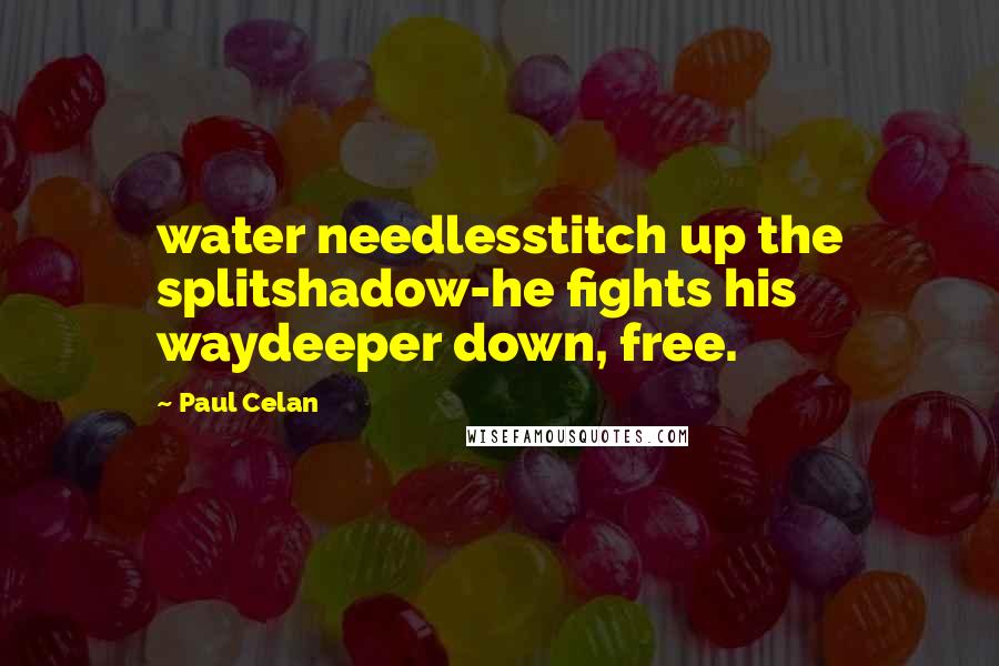 Paul Celan Quotes: water needlesstitch up the splitshadow-he fights his waydeeper down, free.