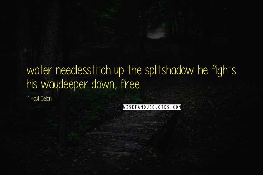 Paul Celan Quotes: water needlesstitch up the splitshadow-he fights his waydeeper down, free.