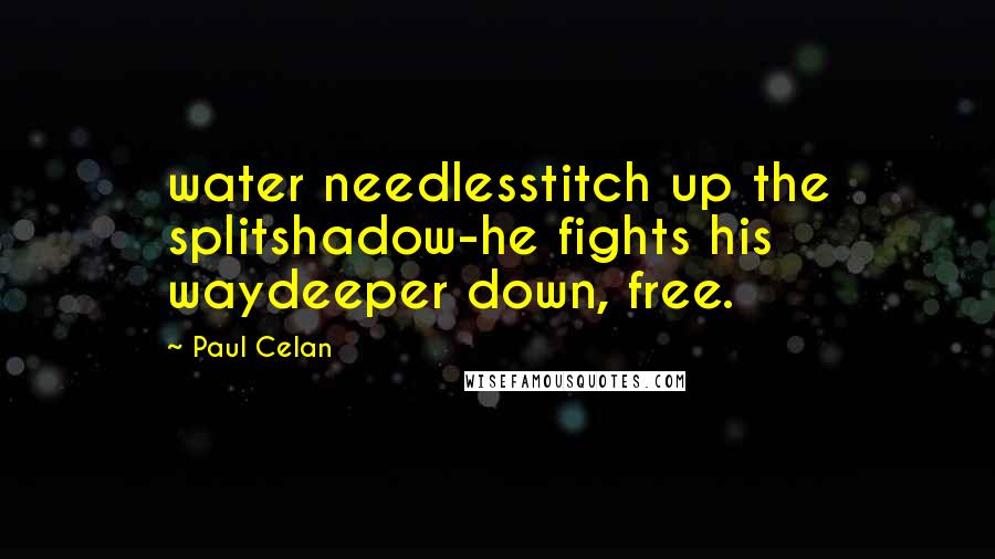 Paul Celan Quotes: water needlesstitch up the splitshadow-he fights his waydeeper down, free.