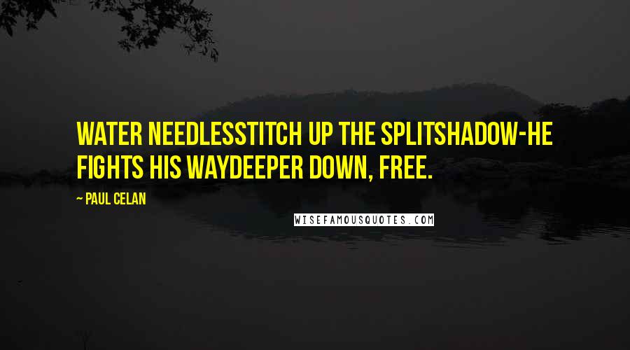 Paul Celan Quotes: water needlesstitch up the splitshadow-he fights his waydeeper down, free.