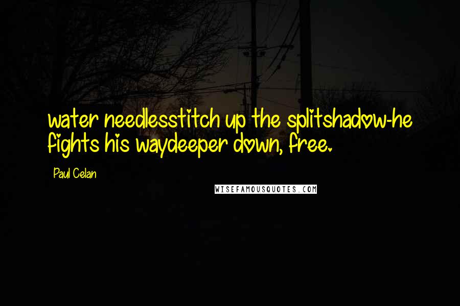 Paul Celan Quotes: water needlesstitch up the splitshadow-he fights his waydeeper down, free.