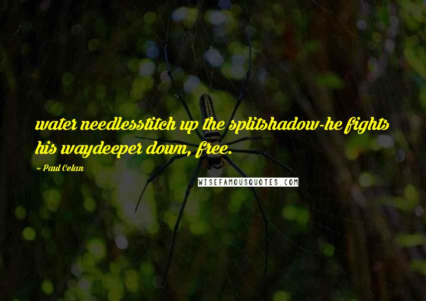 Paul Celan Quotes: water needlesstitch up the splitshadow-he fights his waydeeper down, free.