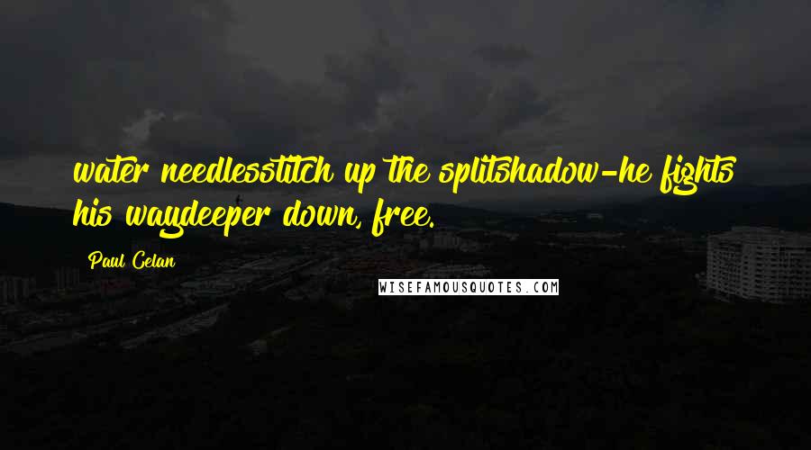 Paul Celan Quotes: water needlesstitch up the splitshadow-he fights his waydeeper down, free.