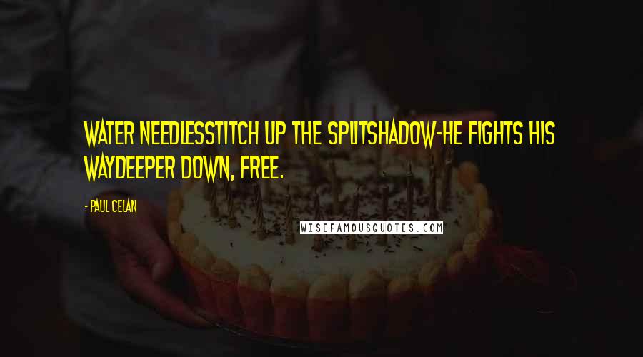 Paul Celan Quotes: water needlesstitch up the splitshadow-he fights his waydeeper down, free.