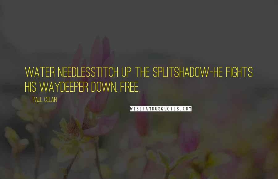 Paul Celan Quotes: water needlesstitch up the splitshadow-he fights his waydeeper down, free.