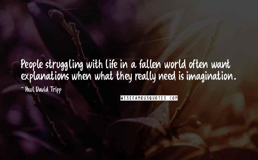 Paul David Tripp Quotes: People struggling with life in a fallen world often want explanations when what they really need is imagination.