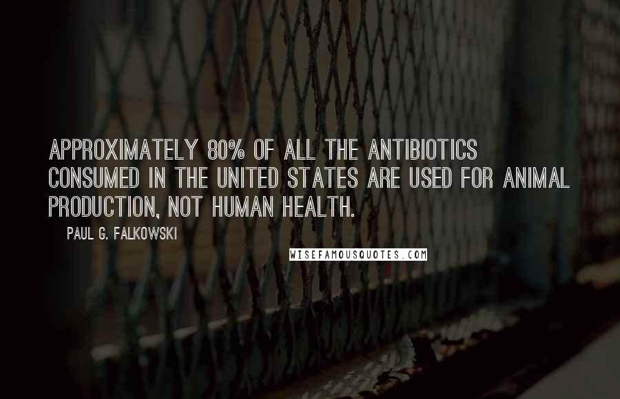 Paul G. Falkowski Quotes: Approximately 80% of all the antibiotics consumed in the United States are used for animal production, not human health.