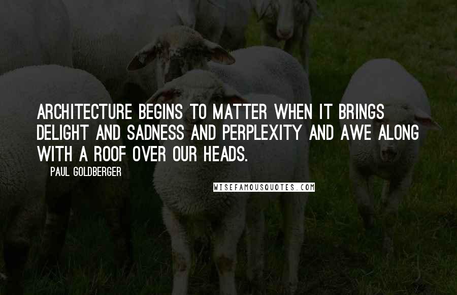 Paul Goldberger Quotes: Architecture begins to matter when it brings delight and sadness and perplexity and awe along with a roof over our heads.