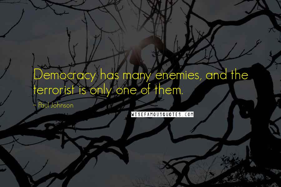 Paul Johnson Quotes: Democracy has many enemies, and the terrorist is only one of them.