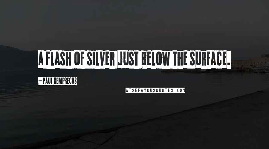 Paul Kemprecos Quotes: a flash of silver just below the surface.