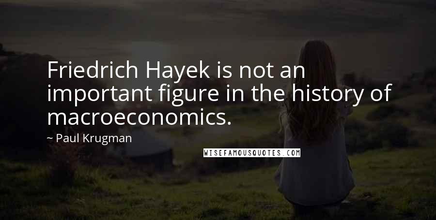 Paul Krugman Quotes: Friedrich Hayek is not an important figure in the history of macroeconomics.