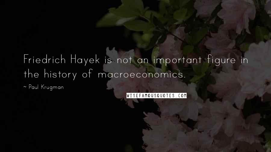 Paul Krugman Quotes: Friedrich Hayek is not an important figure in the history of macroeconomics.