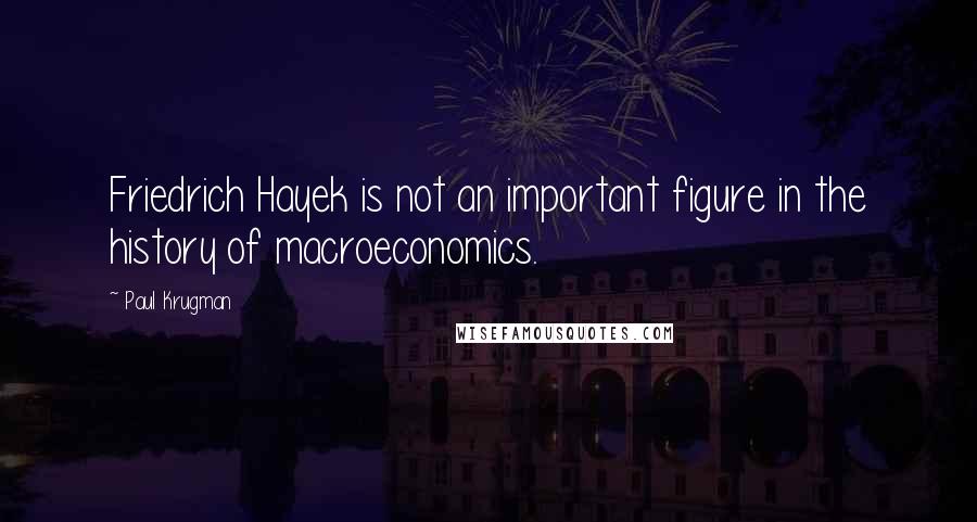 Paul Krugman Quotes: Friedrich Hayek is not an important figure in the history of macroeconomics.