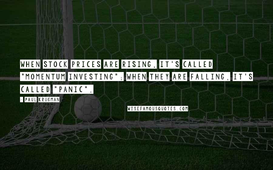 Paul Krugman Quotes: When stock prices are rising, it's called "momentum investing"; when they are falling, it's called "panic".